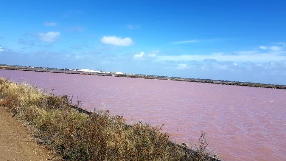 Vue Imprenable Sur Le Port, Proche Plages ! Lejlighed La Grande-Motte Eksteriør billede